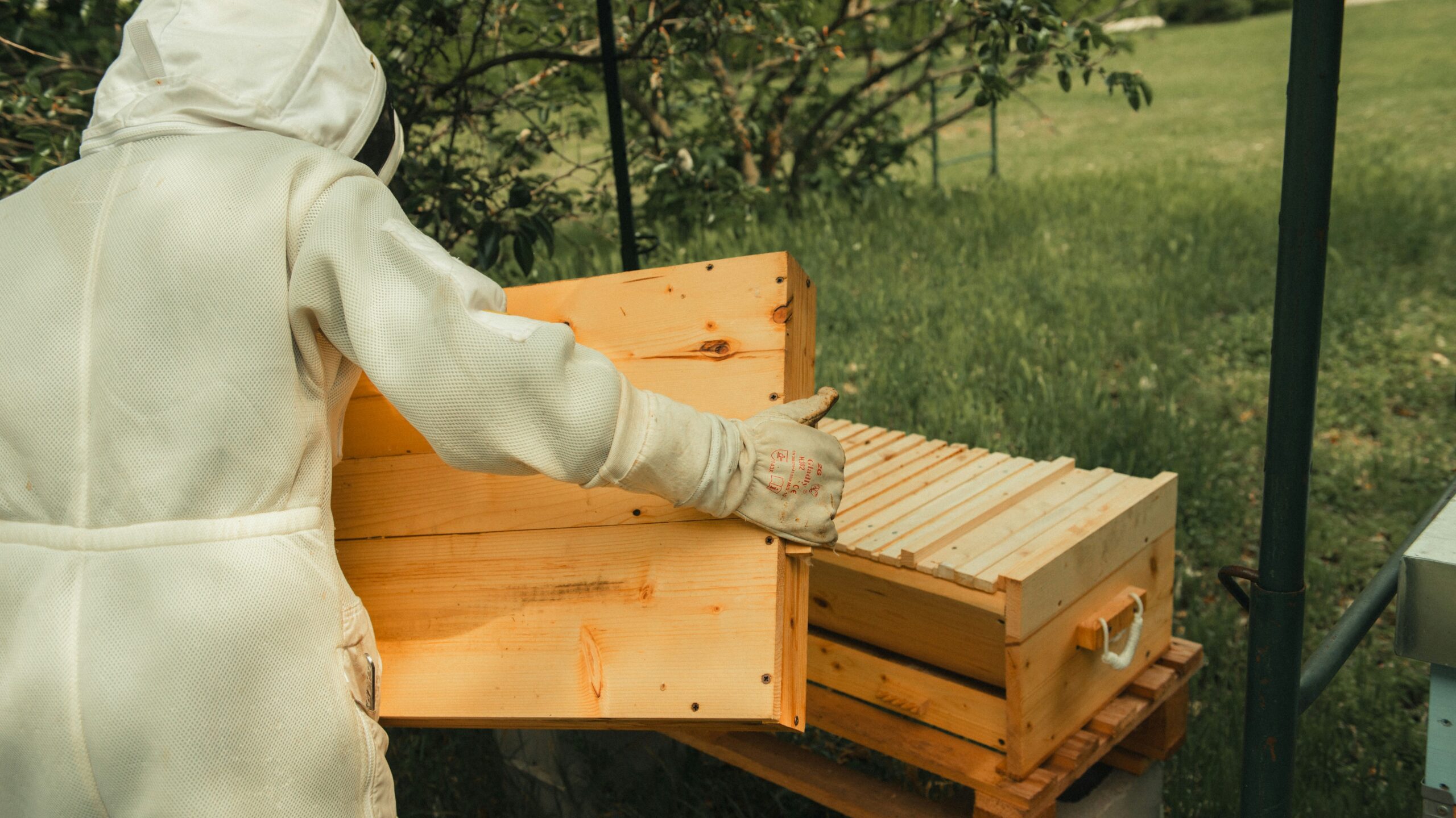 Fitness for beekeepers